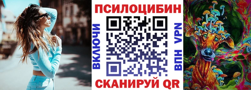 Псилоцибиновые грибы Cubensis  купить  сайты  Кизилюрт 